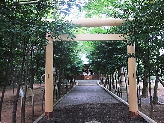 torii.png